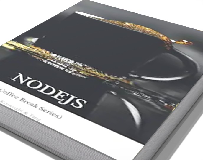 Reader photo of NodeJS in 20 Minutes (Coffee Series)
